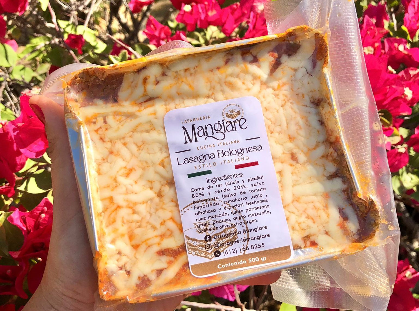 Pack de 4 Lasagnas ❄️ Italianas Personales